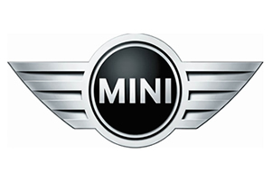 mini logo