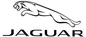 Jaguar logo image